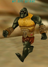 an orc priest