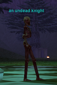 an undead knight