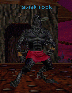 aviak rook