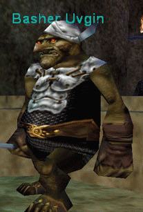 Basher Uvgin