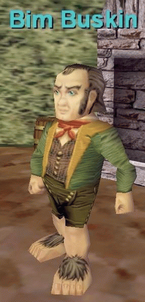 Bim Buskin