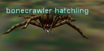 bonecrawler hatchling