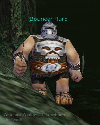Bouncer Hurd