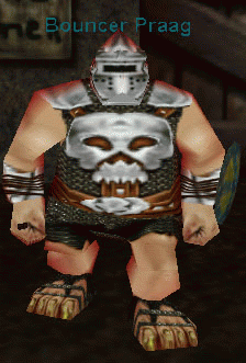 Bouncer Praag