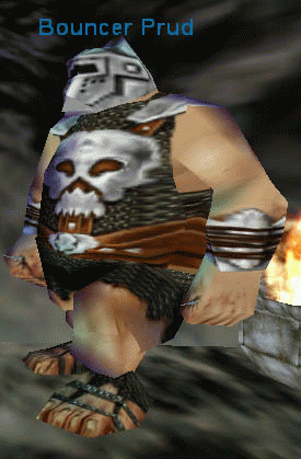 Bouncer Prud