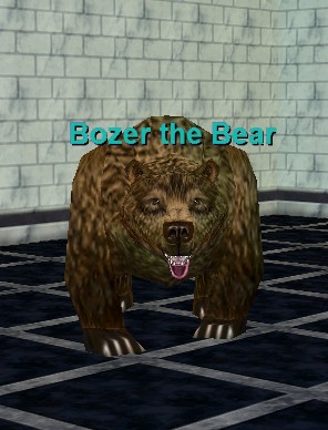 Bozer the Bear