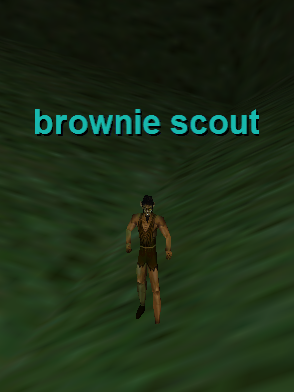 brownie scout