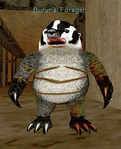 Burynai Forager
