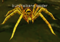 Burynaibane Spider