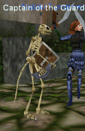 Captain of the Guard