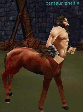 centaur sheltie
