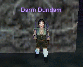 Darm Dundam