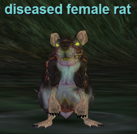 diseased female rat