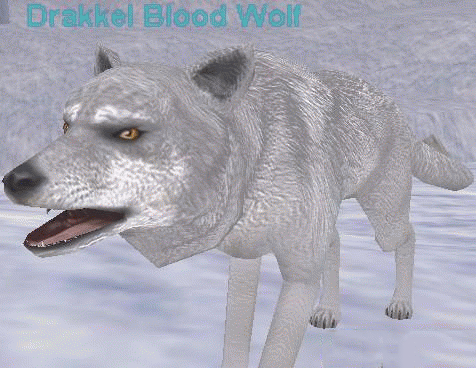 Drakkel Blood Wolf