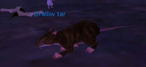 Dralliw`tar