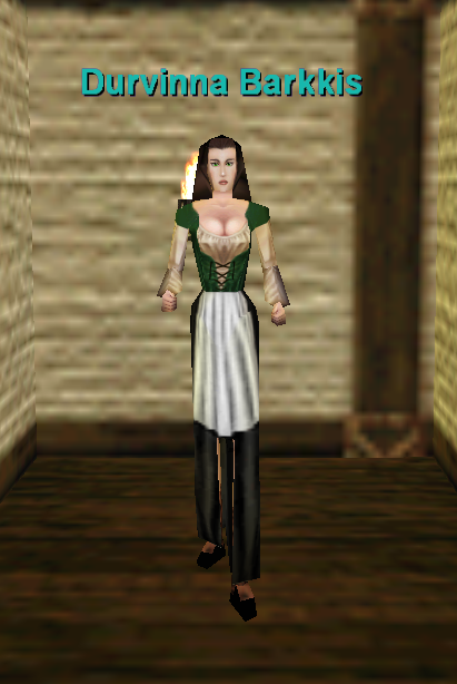 Durvinna Barkkis