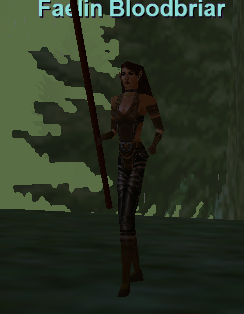 Faelin Bloodbriar
