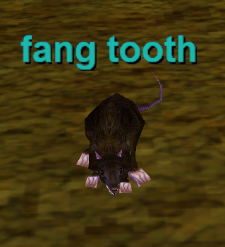 Fang Tooth