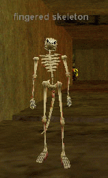 fingered skeleton