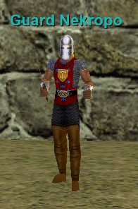 Guard Nekropo