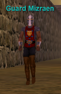 Guard Mizraen