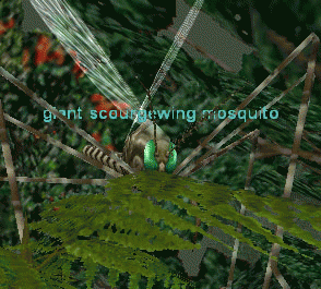 giant scourgewing mosquito