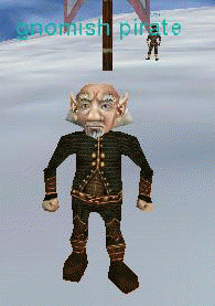 gnomish pirate