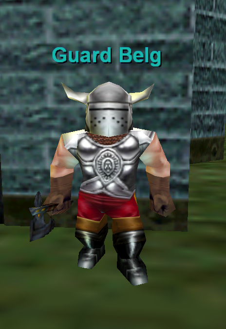 Guard Belg