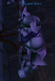 Guard Bjorn