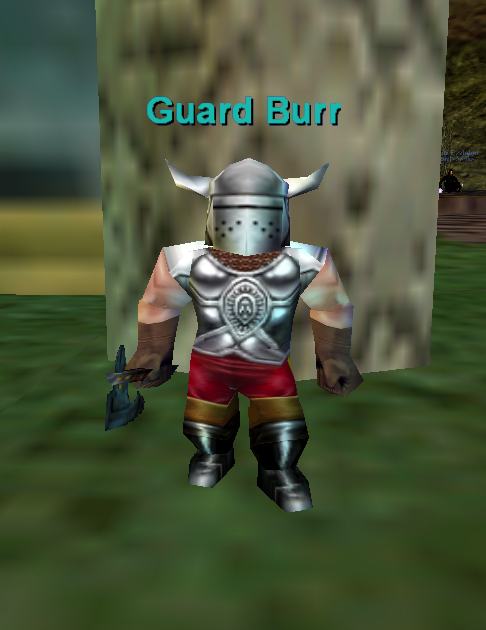 Guard Kizzburr