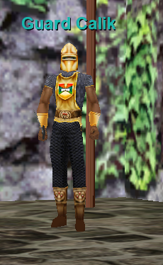 Guard Calik