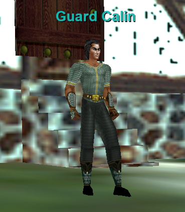 Guard Calin