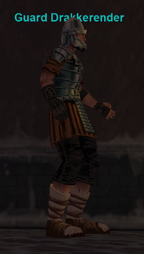 Guard Drakkerender