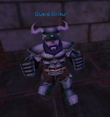 Guard Eirikur