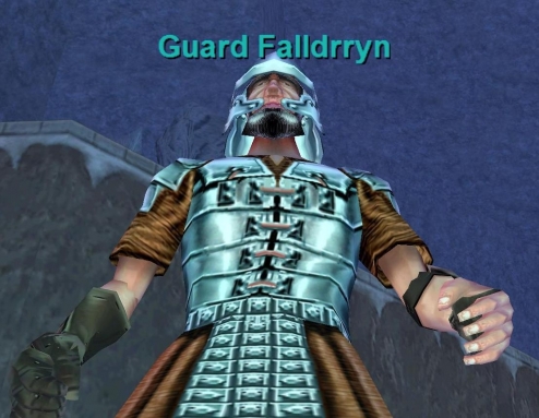 Guard Falldrryn