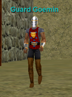 Guard Goemin