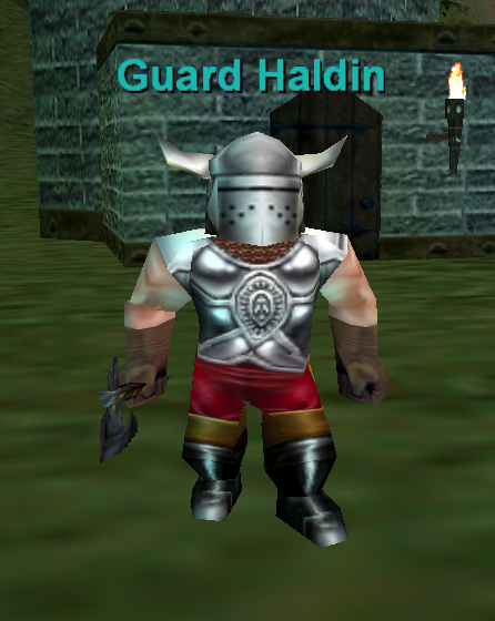 Guard Haldin