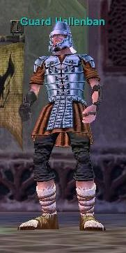 Guard Hallenban