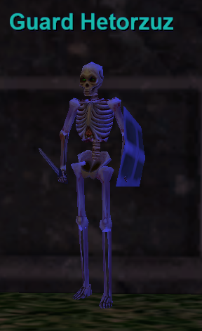 Guard Hetorzuz