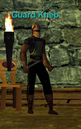 Guard Kheb