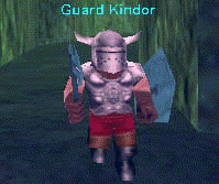 Guard Kindor