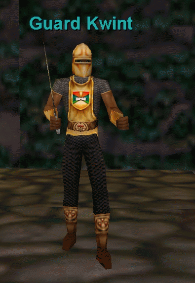 Guard Kwint