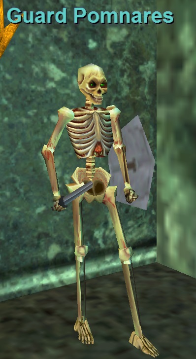Guard Pomnares