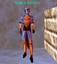 Npc guard settine.png