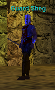 Guard Sheg