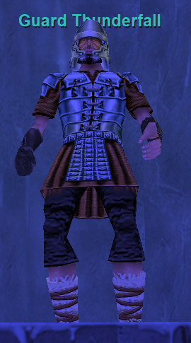 Guard Thunderfall