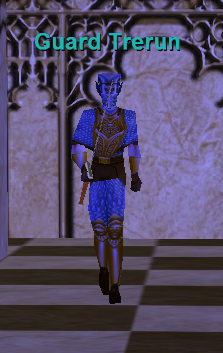 Guard Trerun