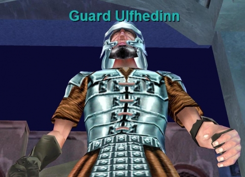 Guard Ulfhedinn