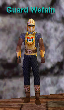 Guard Wefnin