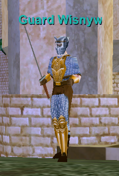 Guard Wisnyw